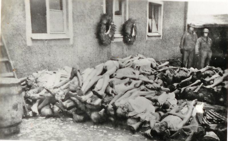 Buchenwald 31
